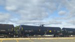 CTCX 731160